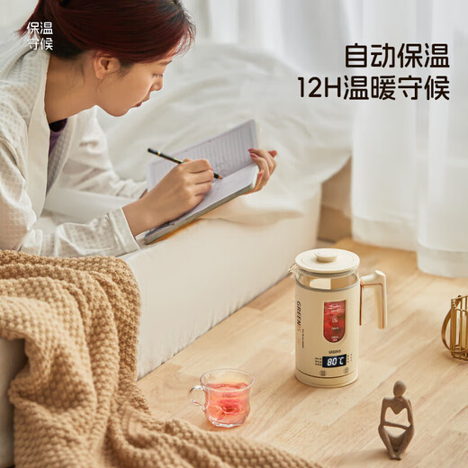 GREENIS tea kettle new pure titanium health kettle tea kettle office multifunctional household kettle portable mini single tea kettle