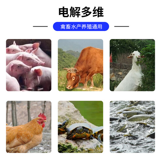 Bai Taikang instant electrolytic multi-dimensional veterinary vitamin rutin, chicken aquatic electrolyte, turtle feed additive, pig, cattle and sheep 10kg/barrel