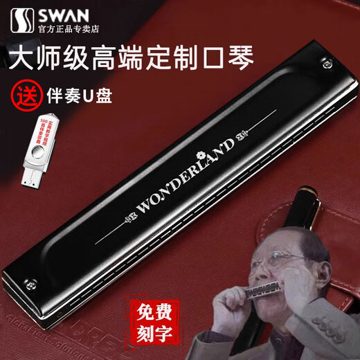 天鹅（SWAN）德国进口音簧天鹅口琴复音重音高端初学者男女成人专业演奏级送礼 24孔 12调套装 【专业演奏级】