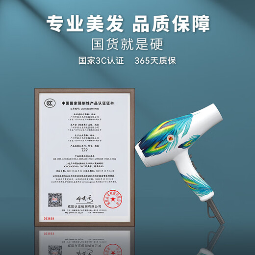 Fire Phoenix Hair Dryer Home Negative Ion High Power 2200W Hair Salon Special High Wind Quick Drying Barber Shop High Speed Constant Temperature Hair Care Does Not Damage Hair Low Noise Hair Dryer Obsidian Black 8960