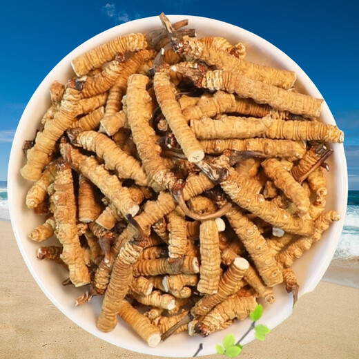 Cordyceps sinensis treasure high altitude Cordyceps sinensis selection in the snowy areas of Tibetan areas in Tibet Big Broken Grass pure meat section dried Cordyceps sinensis nourishing Cordyceps sinensis treasure 5 grams