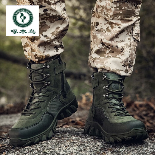Woodpecker Large Size Martin Boots Men's Shoes Breathable Tactical Boots Outdoor Hiking Wear-resistant Training Combat Boots High Top Boots Black 42