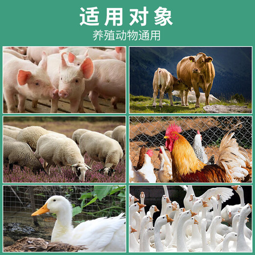 Cattle and sheep high calcium multi-dimensional veterinary feed chickens calcium supplement duck and goose high calcium shell powder feed additive for poultry and pigs Cattle and sheep high calcium multi-dimensional 2 bags/1kg