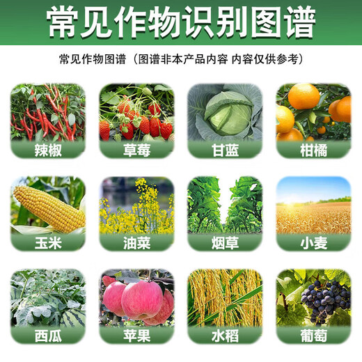 Guoguang Plant Source 2% Benzylaminopurine Rose Citrus Apple Bayberry Flowering and Germination Preservation Cytokinin 200ml