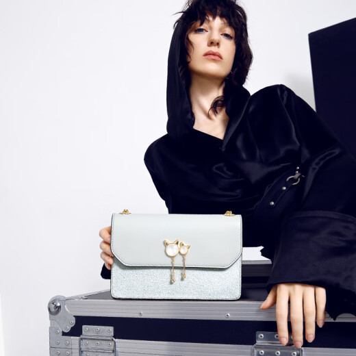 NUCELLE Bag Women's 2025 Young Luxury High-end Niche Girls One-Shoulder Crossbody Bag Birthday Gift for Girlfriend and Wife