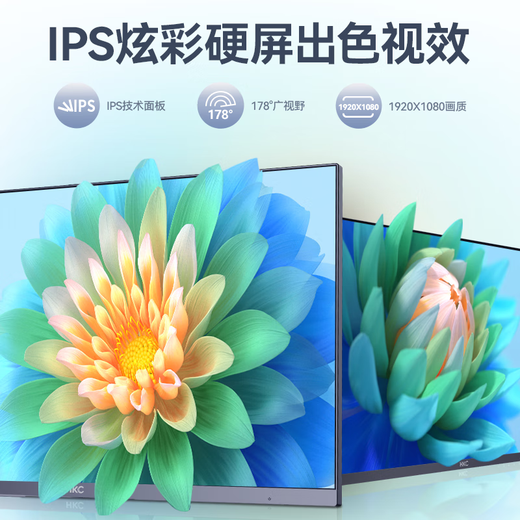 HKC 23.8英寸100Hz IPS高清  低蓝光不闪屏 99%SRGB 三微边可壁挂 HDMI 电脑显示器办公 L241