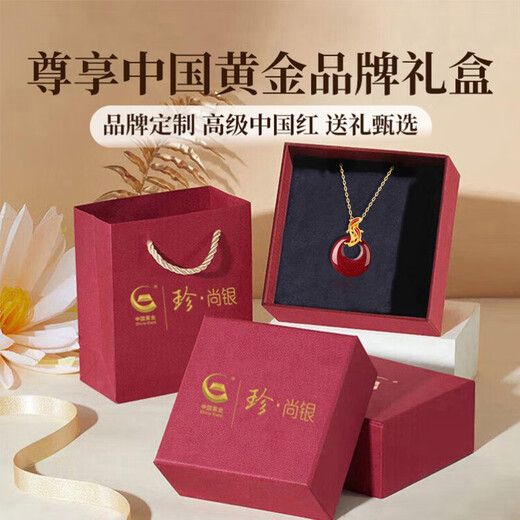 Zhen Shang Silver Chinese Gold Zodiac Year of the Horse Koi Cinnabar Peaceful Buckle Silver Necklace for Girls Japanese Zodiac Year Gift for Girlfriend