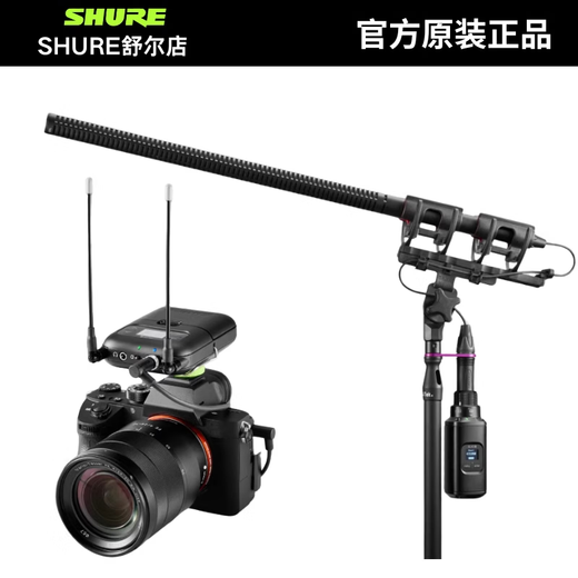 SHURE/Shure SLXD25/BETA58A Portable Wireless Handheld Microphone Performance Speech Live Conference Interview SLXD25/BETA58A Dynamic Super Cardioid