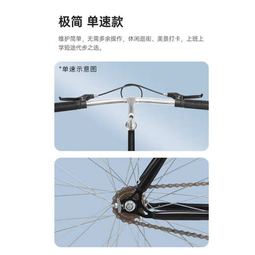 Permanente Bicicleta de carretera Hombres y mujeres Simple Road Bicycle 700C Velocidad única Velocidad Velocidad urbana Commuting Leisure Estudiante adulto Bicicleta Fog gris [Mango recto] 7 Velocidad [Modelo de cambio]