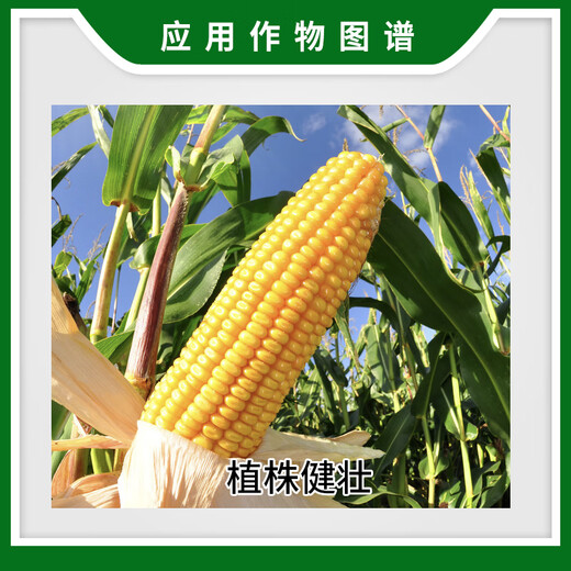 Syngenta Tege Phosphorus and Potassium Large Element Water-soluble Fertilizer for Wheat, Corn, Rice, Citrus and Banana Supplementary Phosphorus and Potassium Foliar Fertilizer 1L