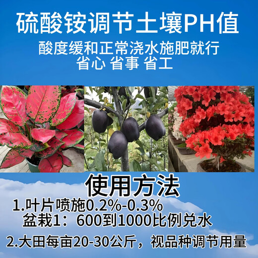 5 Jin Jin is equal to 0.5 kg Nitrogen Fertilizer Ammonium Sulfate Fertilizer Field Powder 5 Jin Jin is equal to 0.5 kg Flower Fertilizer Compound Fertilizer Water Soluble Fertilizer Foliar Fertilizer Vegetable Gardening Agricultural Use Large Enterprises Nitrogen Fertilizer Ammonium Sulfate Fertilizer 860g Garden Fertilizer