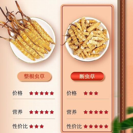 [Authentische Cordyceps] Big gebrochenes Gras authentisch Cordyceps gebrochenes Gras Cordyceps gebrochenes Grasfrüchte Cordyceps gebrochenes Gras selbst zu essen tonisch Cordyceps gebrochenes Gras Tibeter Big gebrochenes Gras 10g