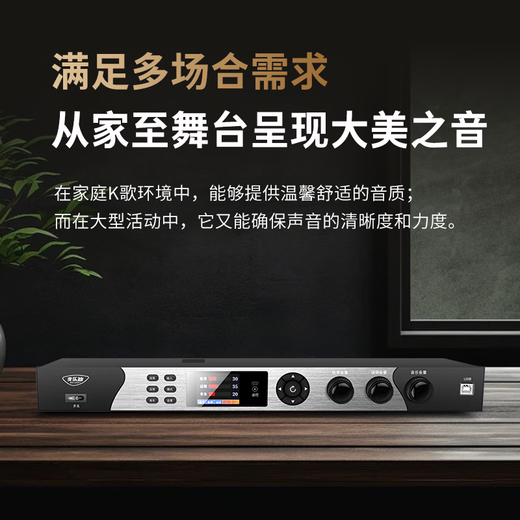 Melody DSP9500 karaoke reverberation digital audio pre-amp effector home theater anti-howling mixer processor professional microphone stage performance processor Bluetooth version effector + self-charging microphone set standard version