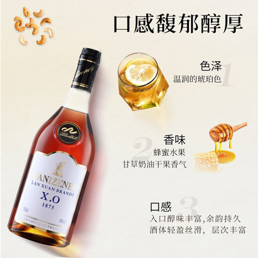 路易马西尼派斯顿法国洋酒xo白兰地40°烈酒橡木桶风味礼盒蓝轩端午送礼 整箱装 700mL 6瓶