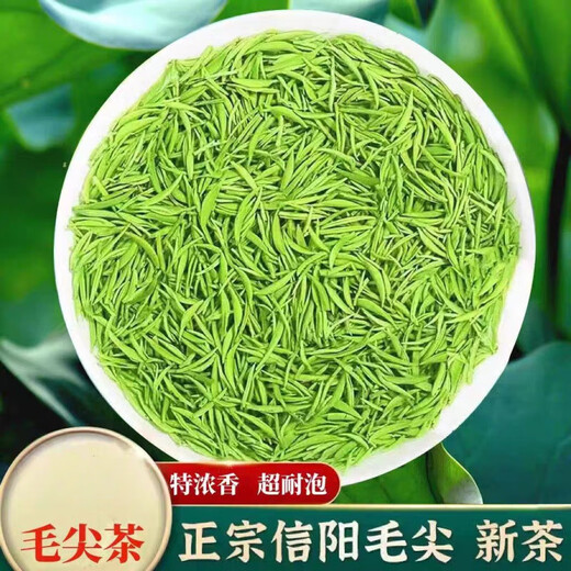 Gannan native Xinyang, Henan, local green tea Maojian 2024 Mingqian new tea Xinyang Maojian tea spring tea green tea 500g gift box