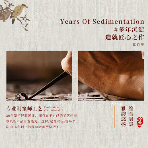 Hongyi Fengming Hongyi Fengmingheng Musikinstrument 14 Frühling 17 Frühling 21 Frühlingsanfänger Professionelle Verstärkung Lila Bambus Runde Quadrat Sheng Factory Direktvertriebsleistung 17 Spring-Tuning-Verstärkungsrohr (Purple Bambus + Weißrohr)