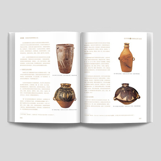 纹饰集：中国古代器物图案之美 中国经典器物纹样 古代器物纹饰溯源图典 彩陶青铜器瓷器等300余件珍贵文物 1300余幅纹饰复原线稿中国青年出版社郑军