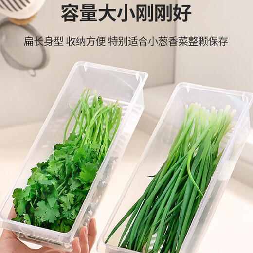 Home KATEI STORY Japanese antibacterial onion crisper drain food grade long coriander green onion ginger garlic refrigerator storage box onion segment box