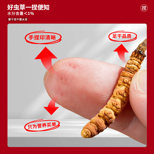 太守堂 冬虫夏草2根/g 5克礼盒装(约10根)年货礼品高海拔高洁净新干虫草