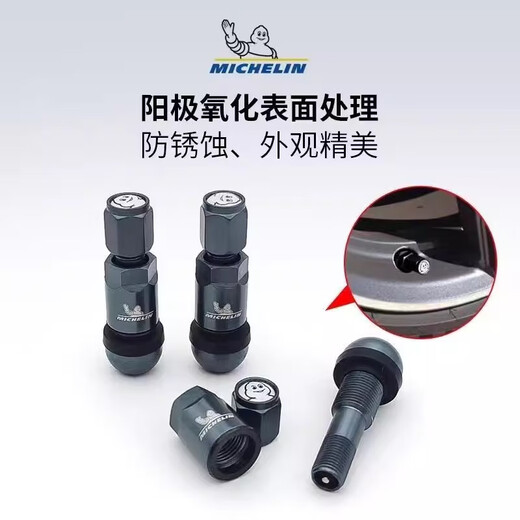 Michelin valve explosion-proof aluminum alloy valve car vacuum nozzle 1 card / 4 pieces