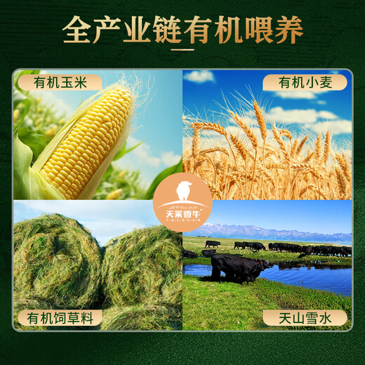 天莱香牛有机健康大块牛腩1斤 可溯源生鲜牛肉低温排酸谷饲清真【真原切】