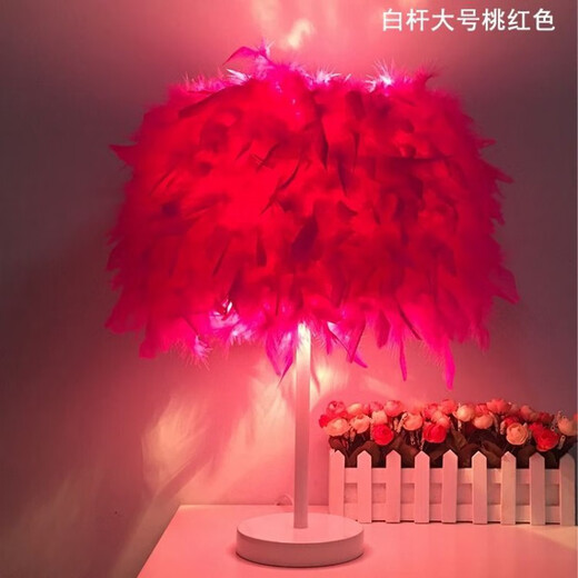 曜添创意简约欧式羽毛台灯卧室床头公主婚房温馨LED生日礼物玫瑰台灯 中号白杆桃红色羽毛 调光开关