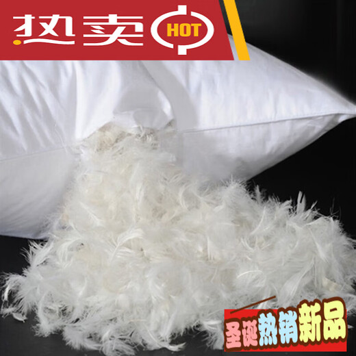 Jikajie Duck Down Pillow Five Star Hotel Down Pillow White Duck Down Goose Feather Pillow Core Pillow Soft Pillow 2 Heads 2Jin Jin is equal to 0.5 kg Weight Jikajie Duck Down Pillow Five Star Hotel Down Pillow White Duck Down Goose Feather Pillow Core Pillow Soft Pillow 2 Heads 2Jin Jin is equal to 0.5 kg Weight