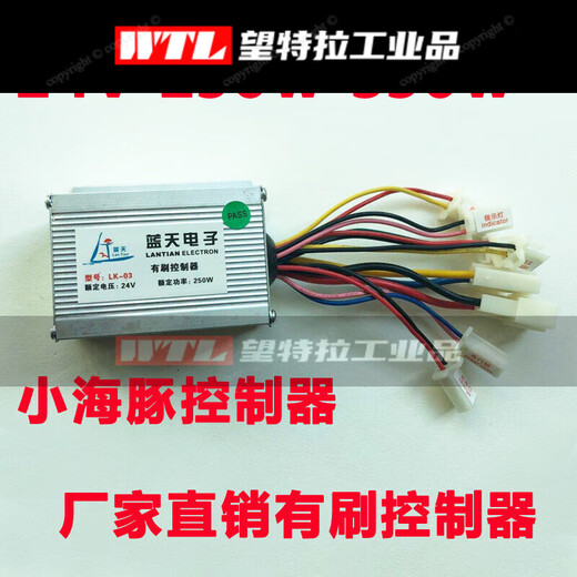 Customized small dolphin electric battery car controller board beach 24v 250W300 with brush name Tulong standard Jinlu 24v250w with brush