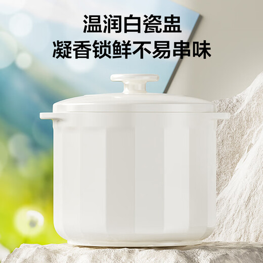 SUPOR electric stew pot, electric stew pot, bird's nest stew, baby food supplement, baby porridge pot 1L compact capacity, mini porridge pot, soup pot, water-proof stewing DZ10YC882