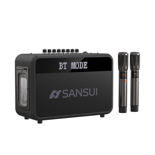 山水（SANSUI）便携式手提音箱广场舞音响音箱带KTV无线话筒小型直播k歌音响移动户外大功率声卡卡拉OK G13【歌词同步+一键消音】