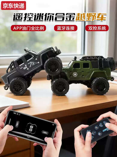 Maternity mother 2025 new remote control car mini desktop car rc off-road children's boy toy advanced black parent-child interaction 2 pack yellow + dark gray
