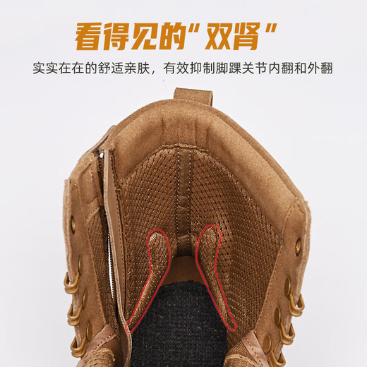 Jinhou (JINHOU) training boots new style boots men's outdoor boots desert boots hiking mountaineering sports boots men's combat boots upgraded version 41
