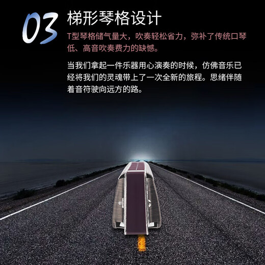 天鹅（SWAN）德国进口音簧高端重音口琴专业演奏级初学者成人复音C调 28孔 高端复音【带音标】浅木纹