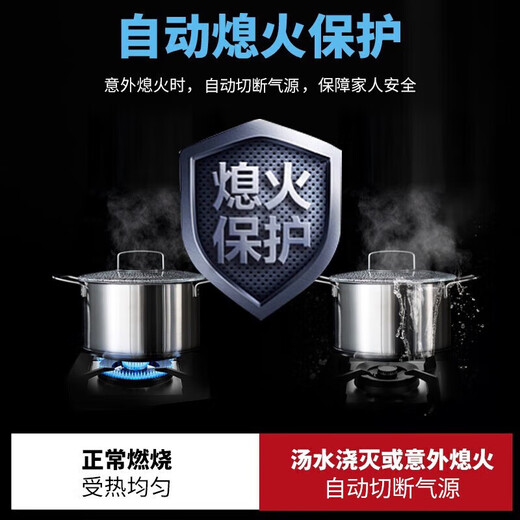 樱花（SAKURA）抽油烟机家用25m³大风量欧式双腔双吸脱排油烟机1200pa电热自清洗深情灰烟机套装灶具天然气 PTE06+B9209【5.0KW聚能烟灶套装】