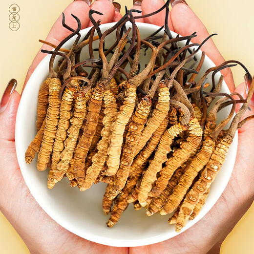 Lei Yunshang [official] [Naru Qu, Tibet] Cordyceps high-end gift box for supplements for elders [Cordyceps, full of respect] 50/8g