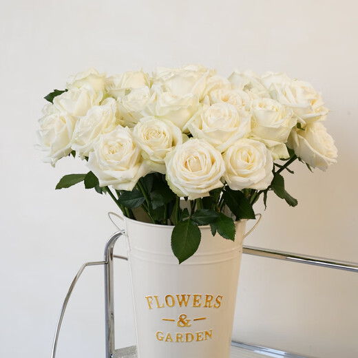 Jingdong Flowers Baixueshan Rose 10 Ruyi Base Fresh-cut Flowers Water-raised Flower Arrangement Lifestyle Bouquet Gifts Straight from the Source