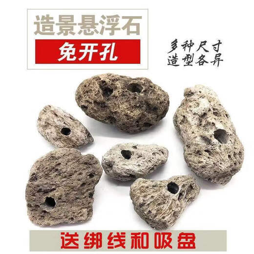 Runhuanian fish tank water plant landscaping stone Moss pumice stone Avatar suspended stone lazy water plant waterscape fish and shrimp avoidance ornaments suspended stone 3-5 cm 1 piece bare stone