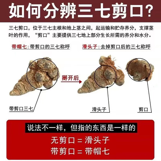 膳鼎祁  三七云南文山春三七中药材20头10头无剪口田七三七头 【精选30头30个-500克当季新货】
