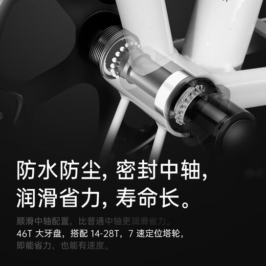 FOREVER Folding Bikes for Children and Children, Mountain Bike Portable Shimano Speed ​​Bike Silver Gray 20 Inch Single Speed