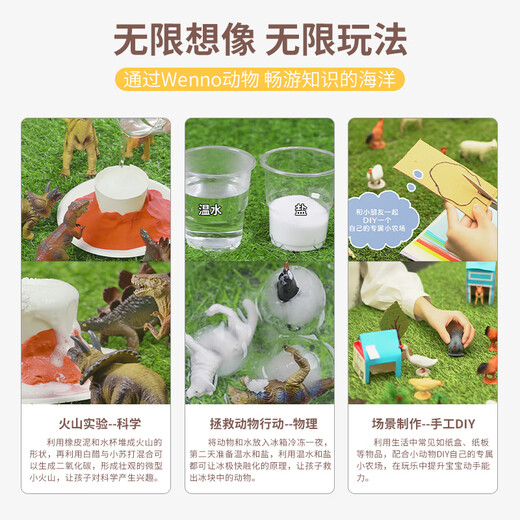 Wenno史前仿真恐龙玩具霸王龙玩具大号恐龙模型儿童恐龙认知过家家玩具 三角龙(Triceratops)