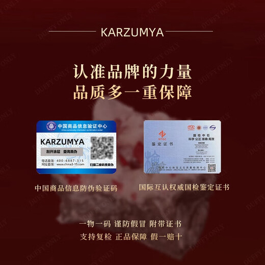 KARZUMYA Necklace for Women 1.2 Carat Light Luxury Aquamarine Princess Diana Pendant Gemstone Valentine's Day Gift Birthday for Girlfriend 1.2 Carat Aquamarine Princess Diana Necklace