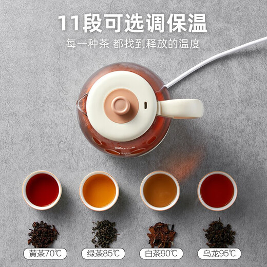 Bear teapot, teapot, flower teapot, health pot, mini thermostatic electric kettle, tea steamer, spray stainless steel kettle, black tea tea set, 1 liter ZCQ-A10W5, upgraded microcomputer, recommended by the store manager 1L