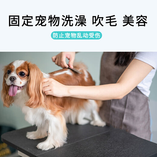 Suican pet grooming sling, lanyard, suction cup, grooming table, wire sling, dog shaving and bathing, fixed, anti-falling rope, suction cup wire model, recommended 30 Jin Jin equal to 0.5 kg, 1 beauty sling
