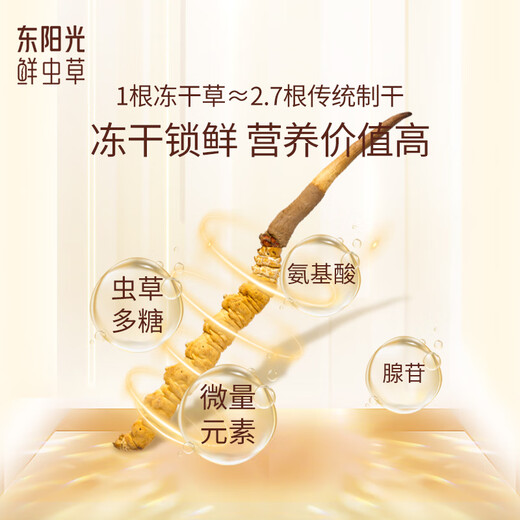 东阳光冬虫夏草3-4根/g75g约260根滋补礼盒冬虫草营养品补品送长辈老人