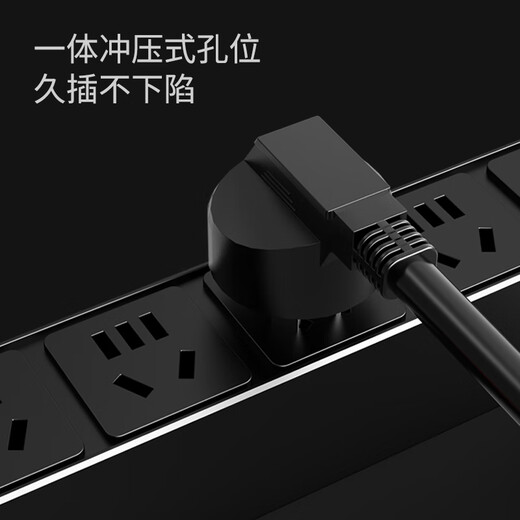 DTVS 大唐卫士PDU机柜插座 按需定制 DS12611 12位10A新国标孔3米2.5平方