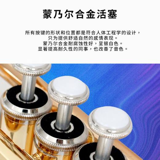 YAMAHA YTR-S1 Brass B-flat Small Title Adult Children Beginners Grading Examination Professional Performance Bb Tune