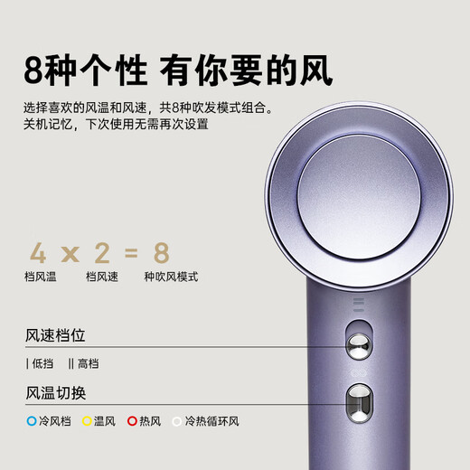 奔腾（POVOS）吹风机家用高速负离子电吹风机大风力速干低噪音学生宿舍便携风筒送女生日礼物 烟熏粉【经典入门PH9909】赠风嘴+赠礼盒