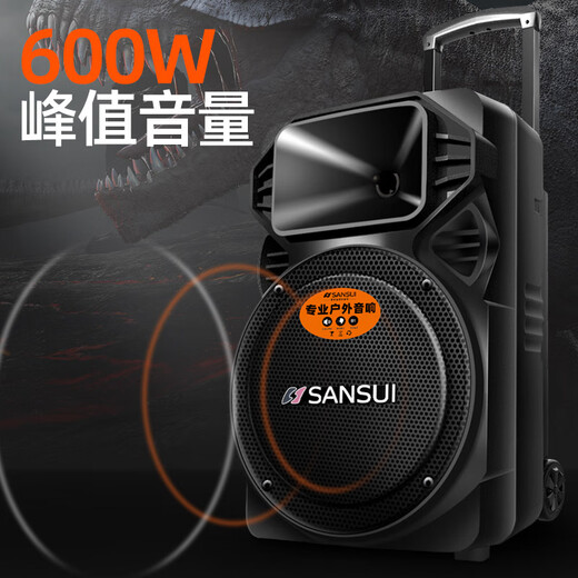 SANSUI A12-66 12-inch Square Dance Speaker Outdoor Karaoke Subwoofer Bluetooth Speaker Portable Karaoke Mobile Stage Trolley Speaker High-Power Amplifier Basic Version (12-inch Subwoofer + No Microphone)