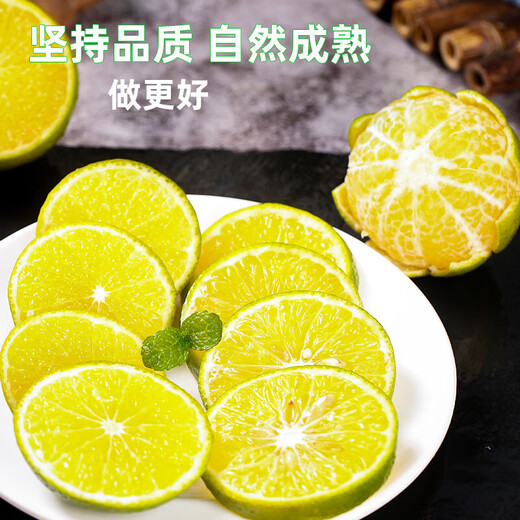 Guangdong Ying Guangxi Emperor Mandarin pure sweet fruit thin-skinned tangerine mandarin orange Wogong mandarin orange bursting juice is delicious and inexpensive fresh 5 Jin Jin equals 0.5 kg Selected fruit bursting sweet and juicy Net 4.5 Jin Jin equals 0.5 kg