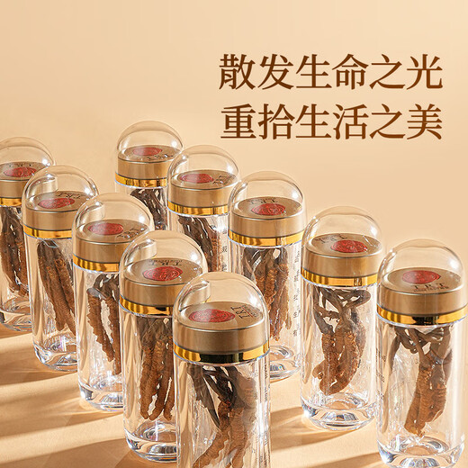 同仁堂品牌西藏野生冬虫夏草约5根/g6g约30根北京同仁堂端午节礼物礼品